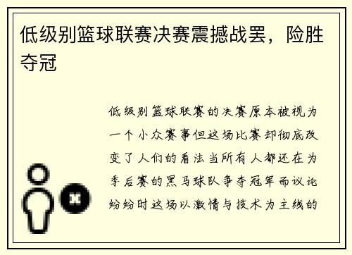 低级别篮球联赛决赛震撼战罢，险胜夺冠