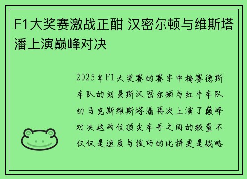 F1大奖赛激战正酣 汉密尔顿与维斯塔潘上演巅峰对决
